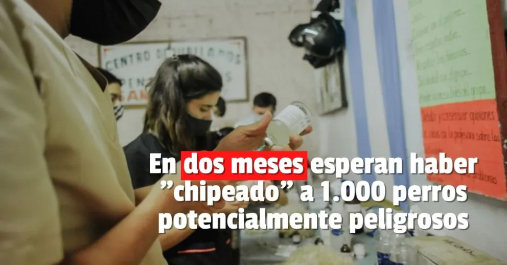 Ya hay 700 preinscriptos para el chipeo de animales potencialmente peligrosos