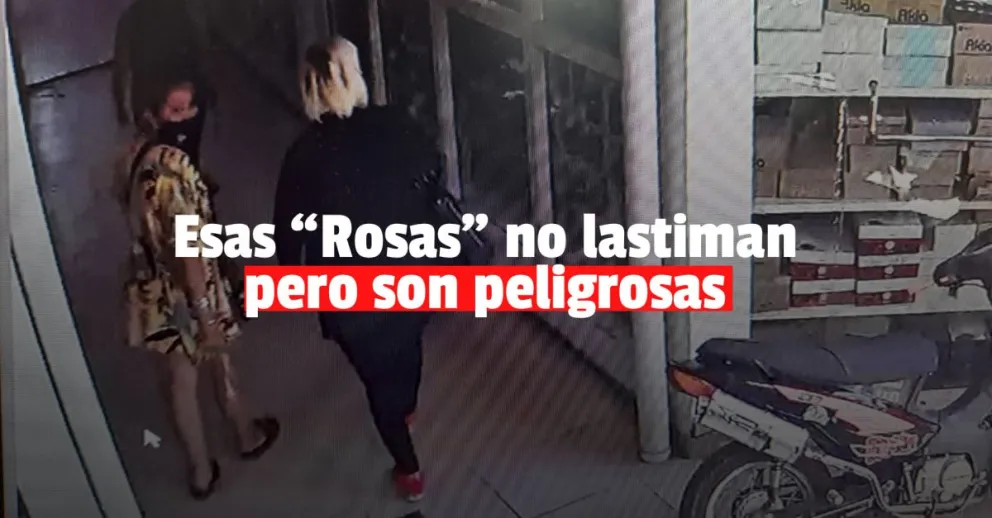 Cayeron dos mecheras que robaron gran cantidad de prendas de un local de ropa 