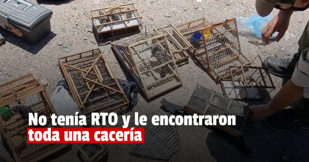 Lo pararon por no tener RTO y le encontraron más de 10 aves capturadas