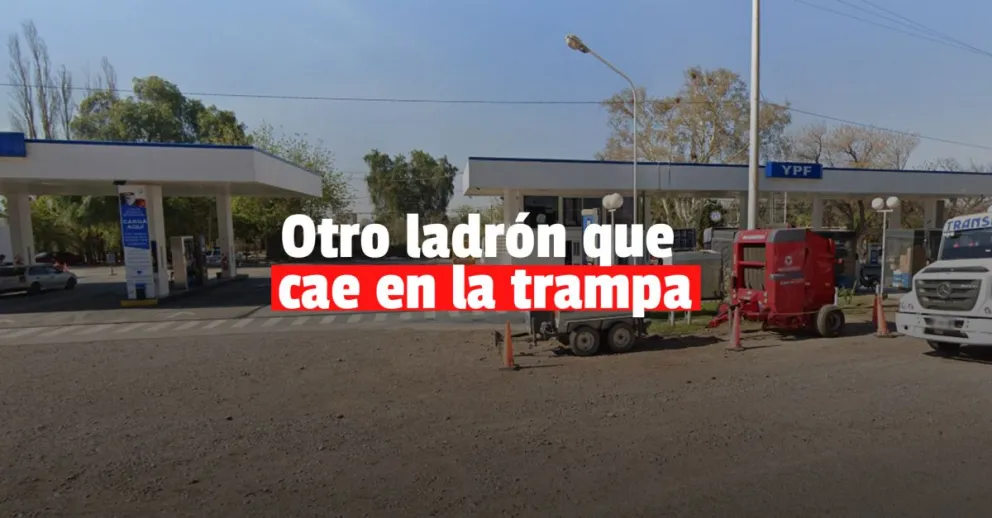 Contactó al ladrón que le robó la billetera y logró que lo detuvieran