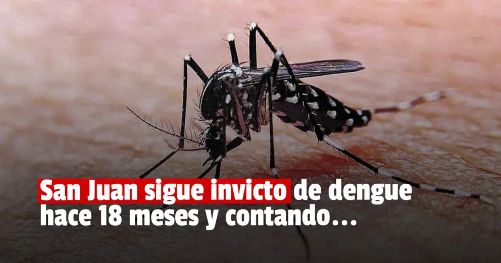 San Juan lleva casi dos años sin casos de dengue 