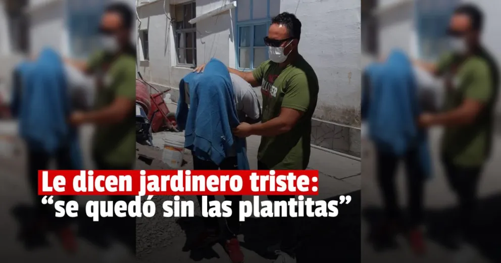 Buscaban artefactos robados y encontraron marihuana