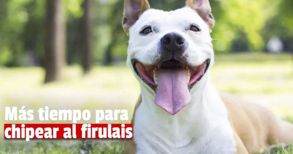 Extienden el plazo para inscribir a los perros potencialmente peligrosos