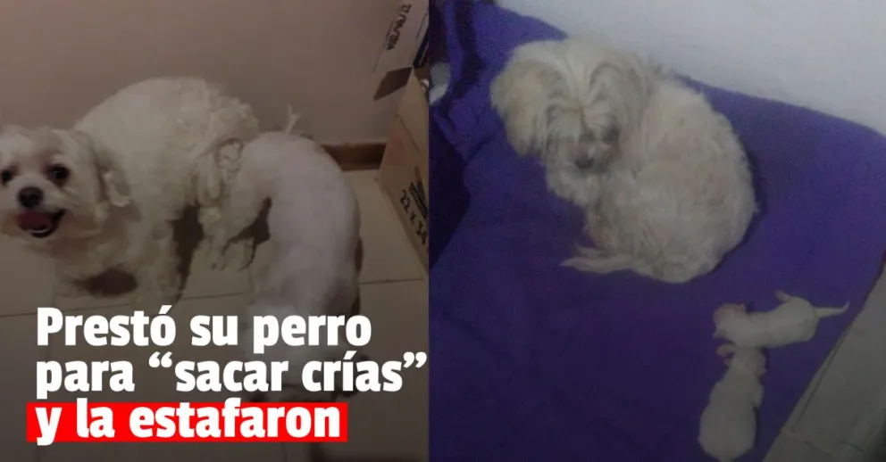 Escracharon a un comerciante de perros por estafa