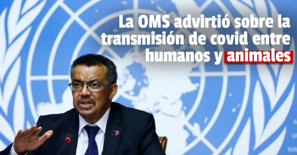 La OMS presentó un nuevo informe 