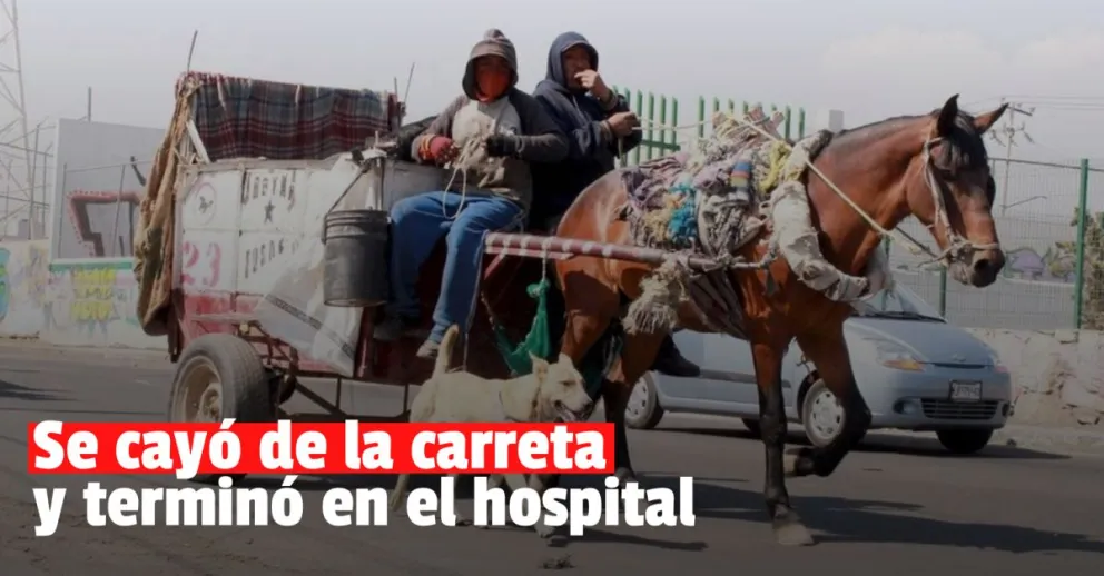 Un chico se cayó de una carreta y sufrió graves golpes