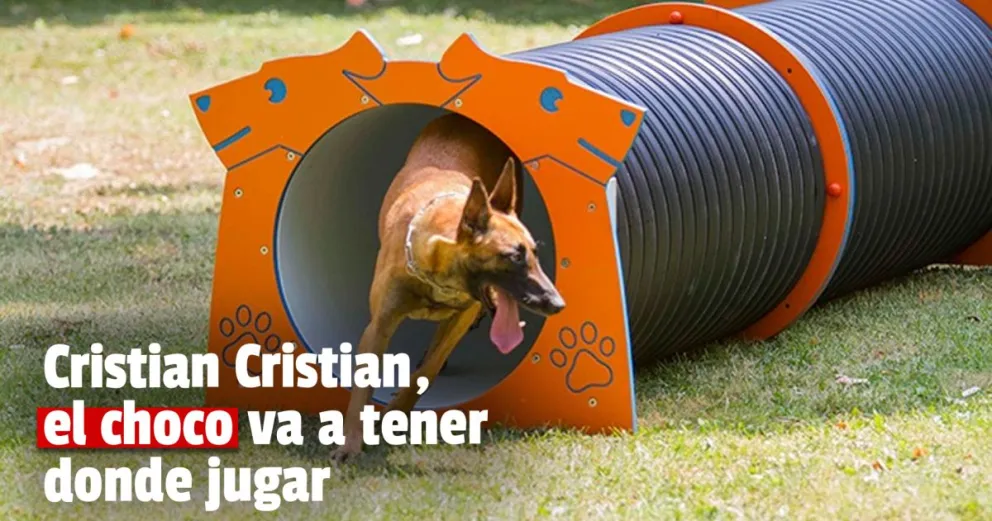 San Juan tendrá dos parques con espacio para que los perros jueguen y se diviertan