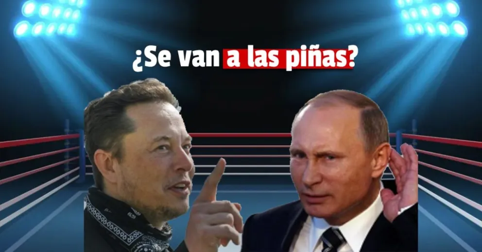 Elon Musk desafió a un combate a Vladimir Putin por el futuro de Ucrania