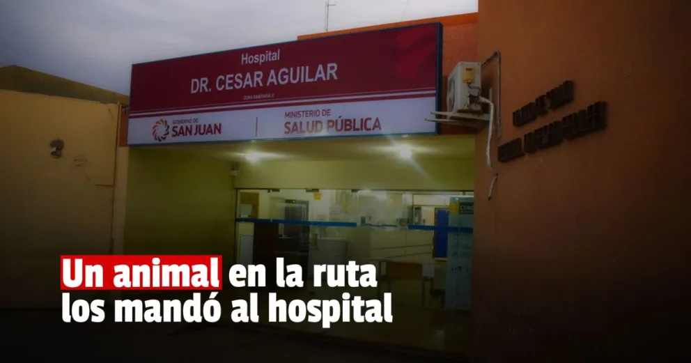 Quisieron esquivar un animal, volcaron y terminaron hospitalizados