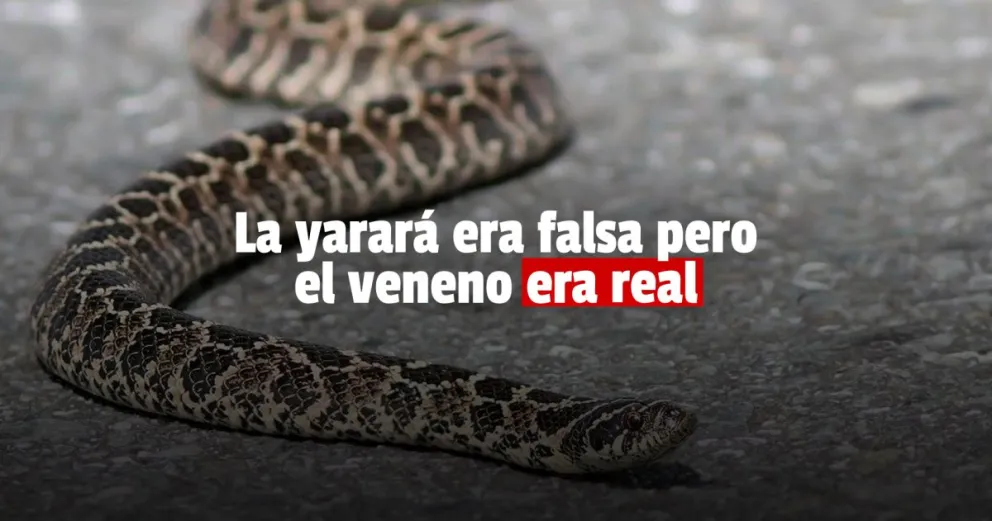 Una mujer quedó internada tras ser mordida por una falsa yarará