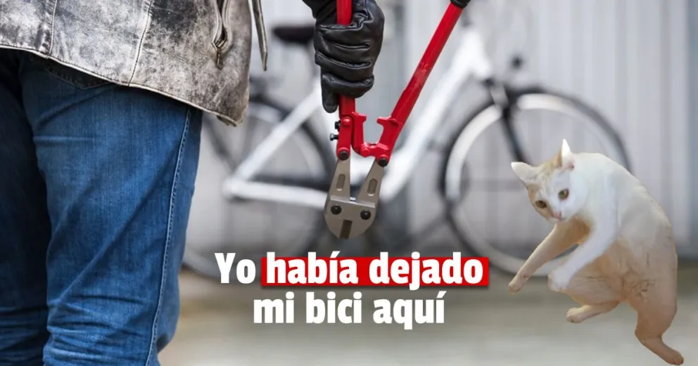 Entró a comprar, le robaron la bici pero la recuperó