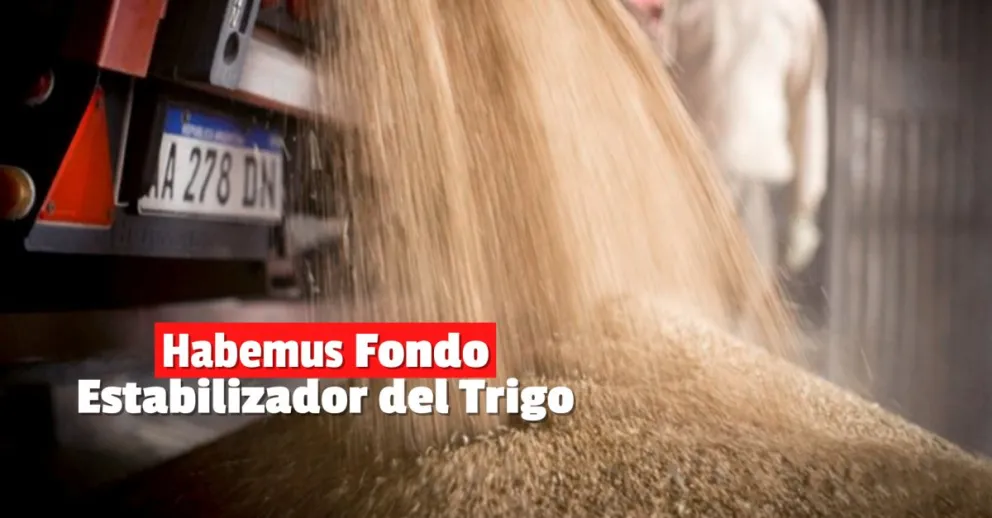 Guerra contra la inflación: crearon un fondo para controlar el precio del trigo