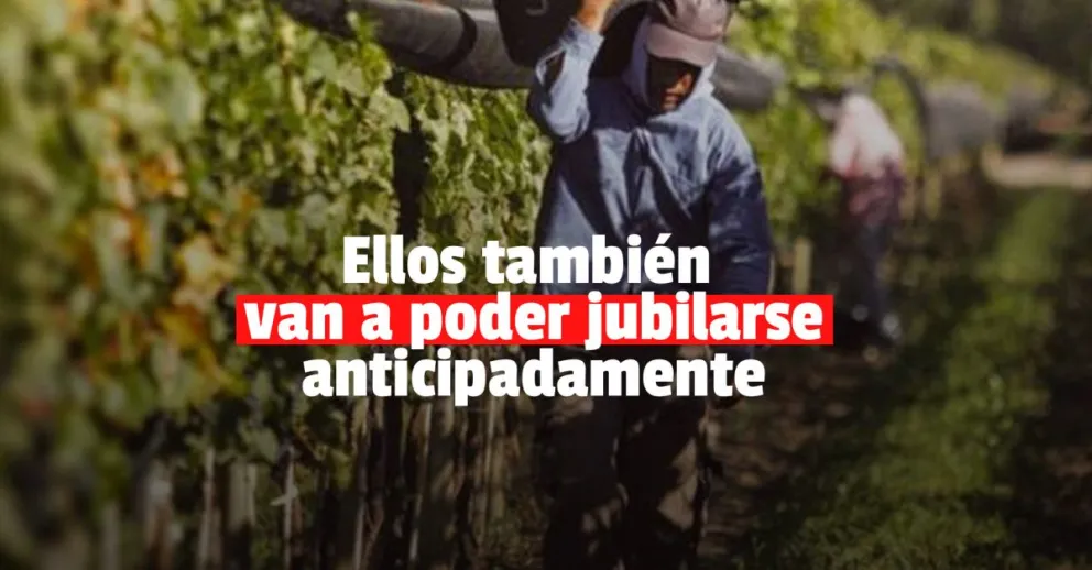 Jubilación anticipada: los primeros trabajadores de viñas comenzarán el trámite 