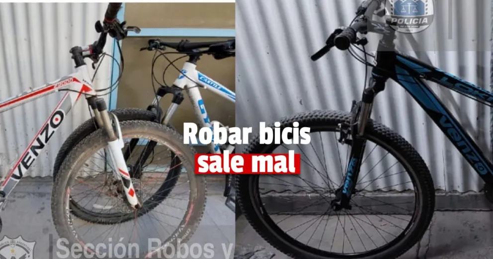 Recuperaron bicicletas robadas y detuvieron al delincuente