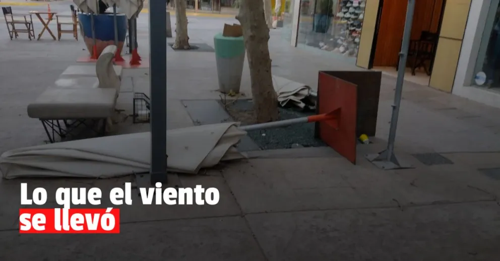 Las calles sanjuaninas plagadas de ramas caídas