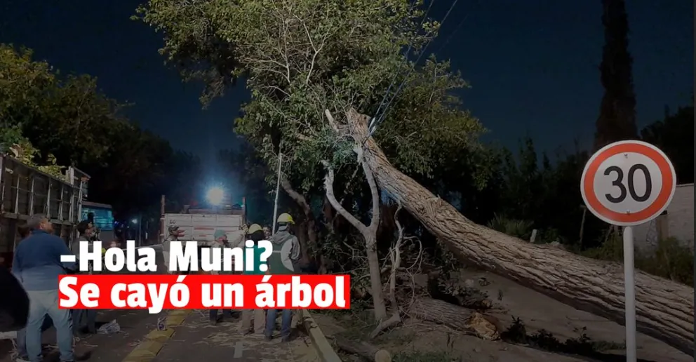 Capital atendió más de 30 pedidos de ayuda por el viento