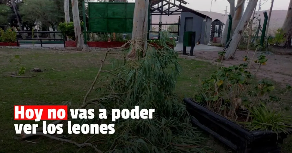 Tras el fuerte viento, el Parque Faunístico no abrirá sus puertas