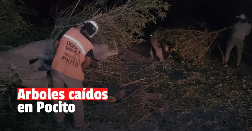 Pocito continúa trabajando tras el intenso viento