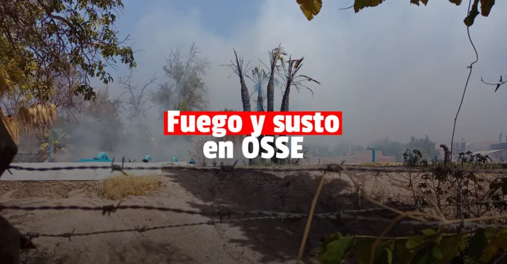 Un incendio en una planta de OSSE asustó a varios vecinos 