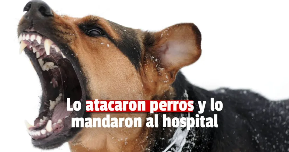 Un hombre fue atacado por perros en Rivadavia
