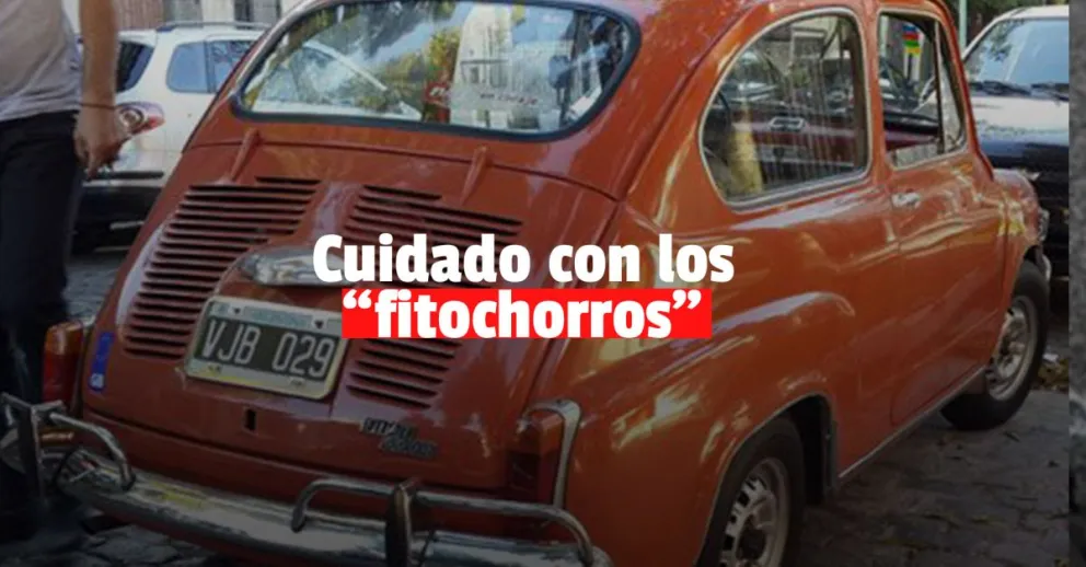 Le robaron a una joven en una salidera bancaria y se dieron a la fuga