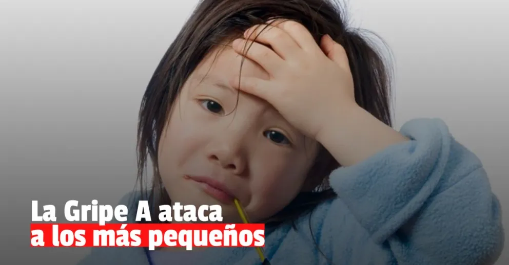 Confirman más de 10 niños internados por Gripe A en el Hospital Rawson    