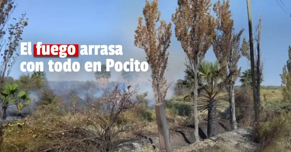 Intentan sofocar un incendio de grandes dimensiones en Pocito   