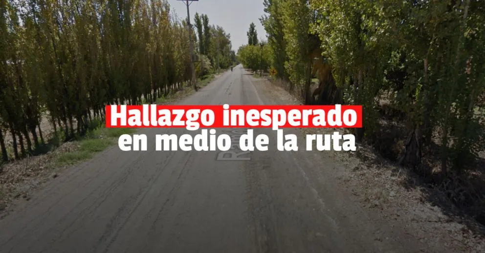 Un colectivo con pasajeros se cruzó con un cadáver en plena calle 