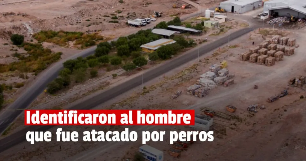 Identificaron al hombre que fue atacado por perros