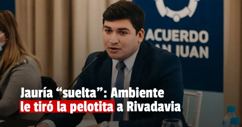 Jauría peligrosa: Ambiente afirmó que la responsabilidad es de la Municipalidad de Rivadavia