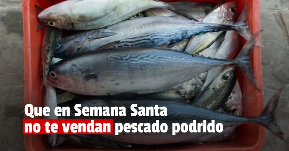 Salud dio recomendaciones para comprar pescado en buen estado durante Semana Santa