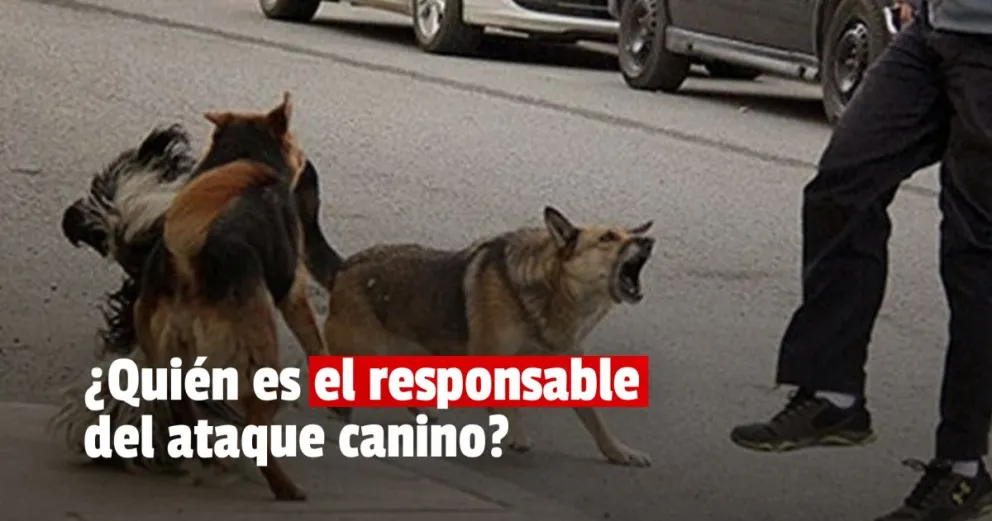 Rivadavia se desvinculó de toda responsabilidad por el ataque de la jauría