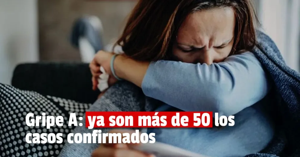 Los casos de Gripe A ascienden a 55