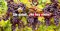 El faltante de gasoil está afectando la cosecha de uva en la provincia según los productores
