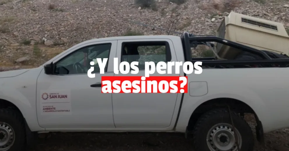 Continúa la búsqueda para encontrar a la jauría que mató al trabajador del PTA  