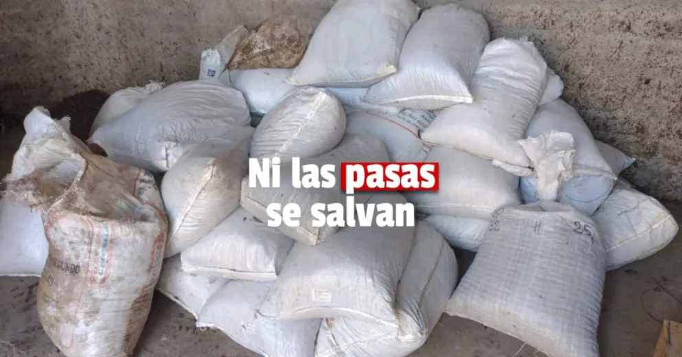 Robó kilos de pasas y fue detenido