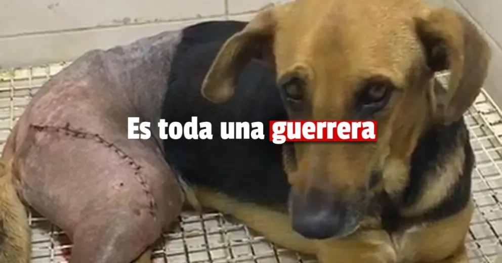 Todos por Luna: todos los días un poquito mejor