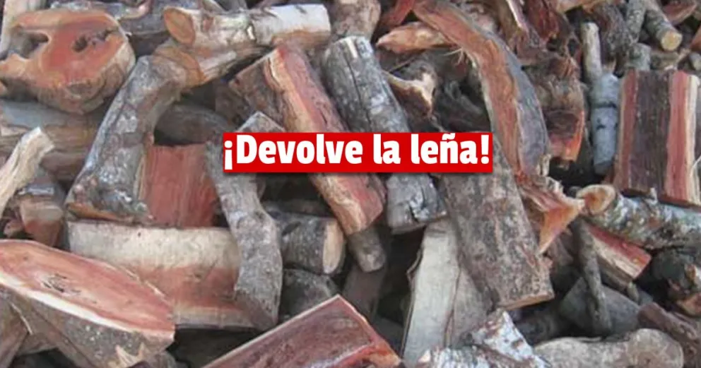 Trasladó una importante cantidad de leña y cometió una infracción