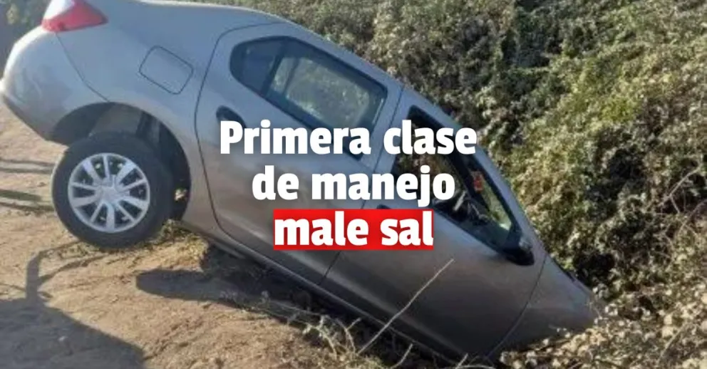 Terminó con el auto en una zanja en su primera clase de manejo y es viral