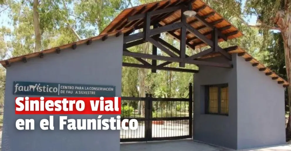 Una mujer chocó contra un separador vial: no hay heridos