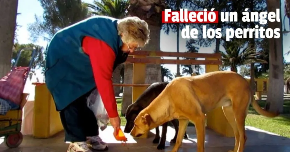 Conmoción en Jáchal: falleció una señora que cuidaba animalitos callejeros