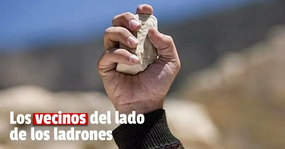 Condenaron al ladrón que tiró a una mujer de la bicicleta y le robó la mochila 