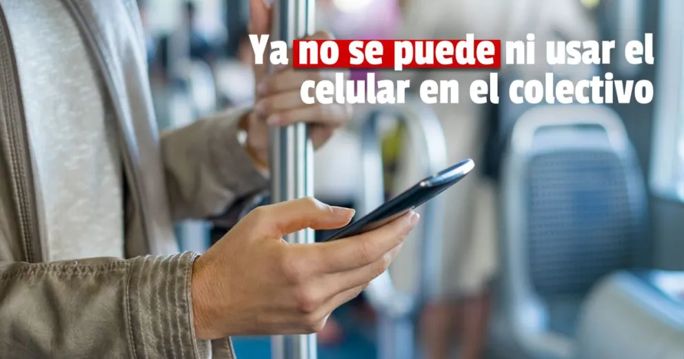 Casi un año de prisión para un ladrón que le robó el celular a una mujer en el colectivo 