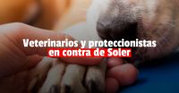 Veterinarios y proteccionistas le respondieron a Soler por estar a favor de la eutanasia animal 