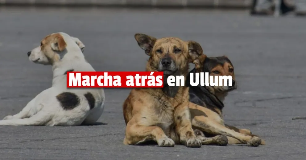 Leopoldo Soler dio marcha atrás y no presentará el proyecto para sacrificar perros