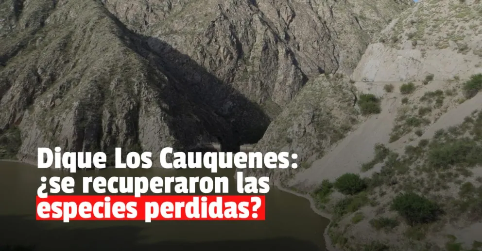 Dique Los Cauquenes: la imposibilidad de recuperar las especies perdidas