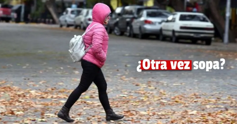 Madrugada ventosa: anunciaron un fuerte viento sur 
