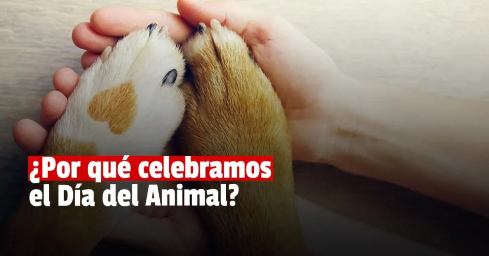 ¿Por qué se celebra el Día del Animal en Argentina?