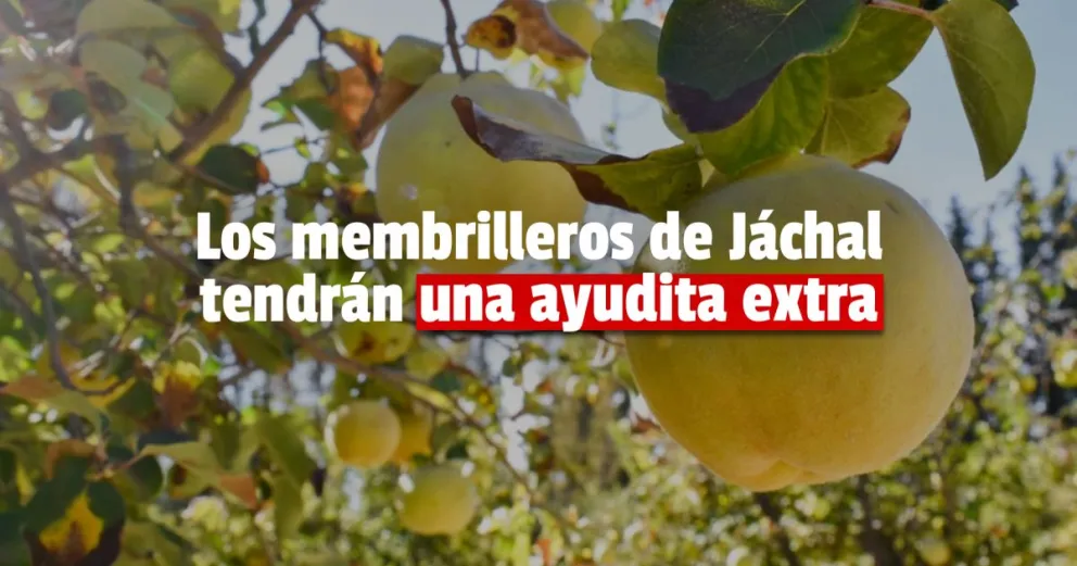 Minas Argentinas volvió a lanzar el Programa de Apoyo a Productores de Membrillo en Jáchal