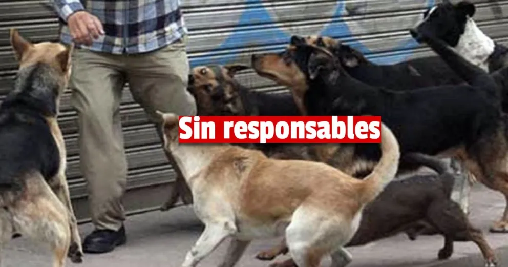 Se archivó la causa penal del caso del hombre que mataron los perros 